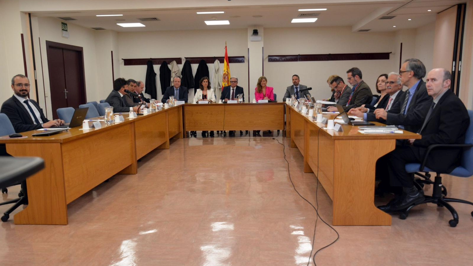 XVIII Pleno del CTEAJE