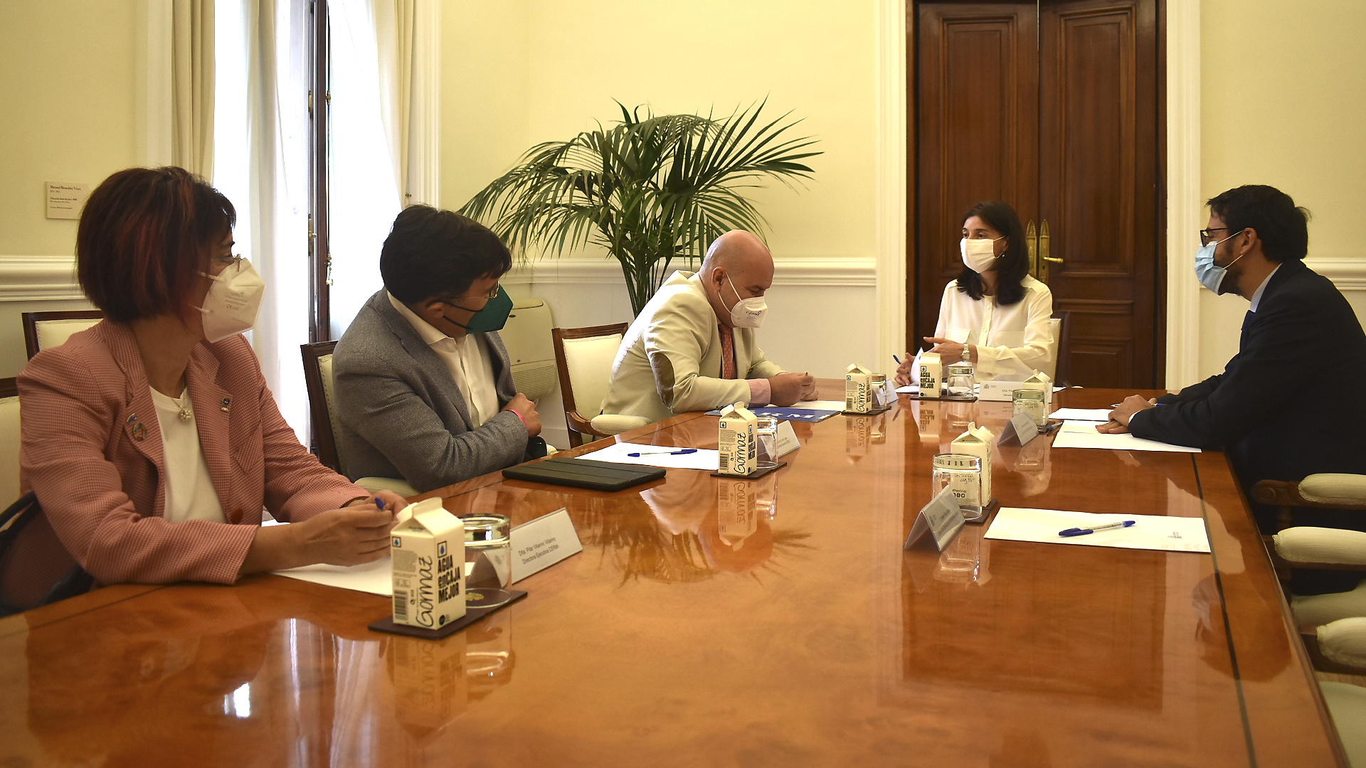 Reunión de Pilar Llop con CERMI