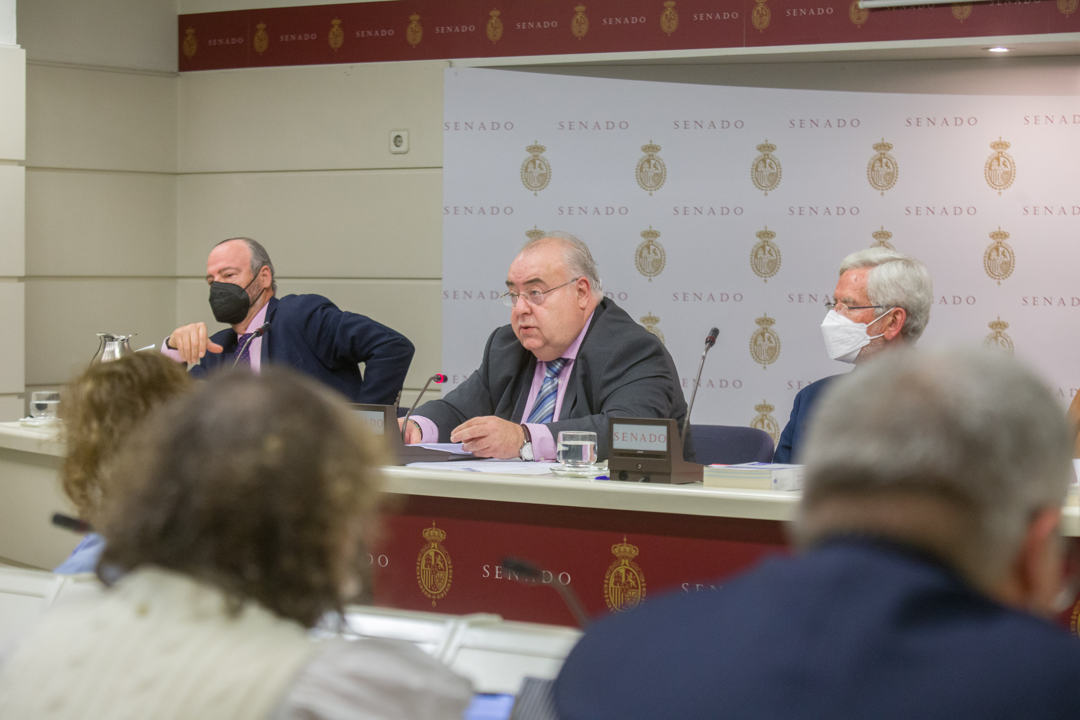 Tontxu Rodríguez en la Comisión de Justicia en el Senado