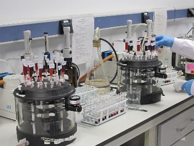 Extracción en fase sólida