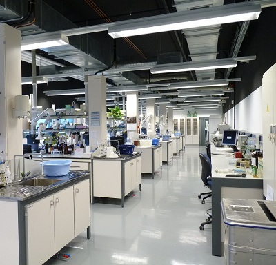 Organización Física del Laboratorio